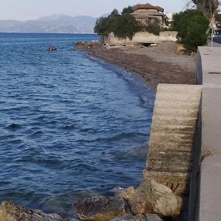 70 M From The Sea Cozy Spacious Lejlighed *