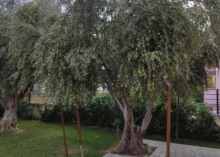 Apartamento 70 M From The Sea Cozy Spacious *